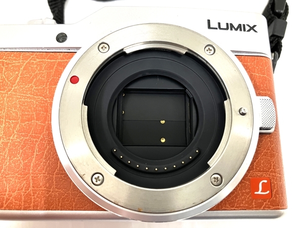Panasonic LUMIX DC-GF9 1:1.7/25 ASPH デジタル ミラーレス一眼 Panasonic LUMIX DC-GF9 1:1.7/25 ASPH デジタル ミラーレス一眼