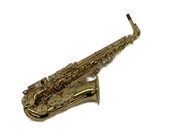 Yanagisawa A-WO1 アルトサックス 管楽器 柳澤 ヤナギサワ C7638650