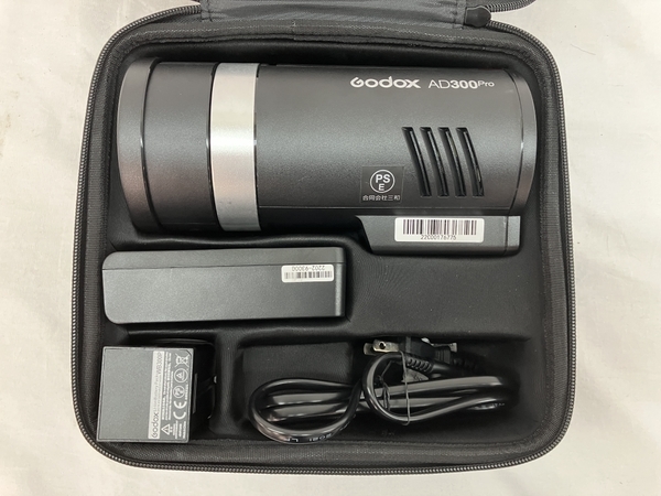 Godox AD300Pro LED モデリングランプ ケース付き ゴドックス