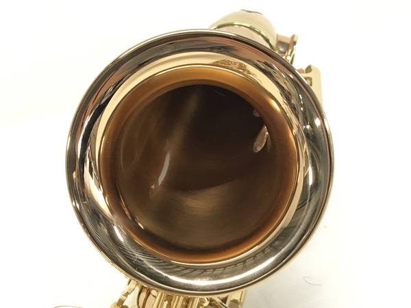YANAGISAWA A-WO2 アルト サックス ケース付 楽器 F7647418