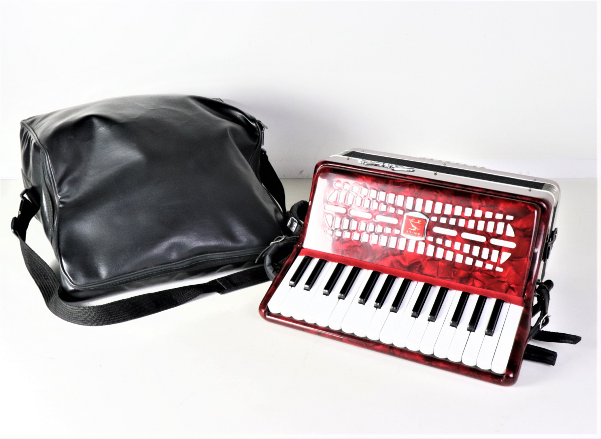 BAILE M2019 バイレ アコーディオン 30鍵盤 24ベース レッドカラー 赤色 ケース付き 鍵盤楽器 音楽 吹奏楽 演奏 音楽 学校 部活 004FTNT38の画像1