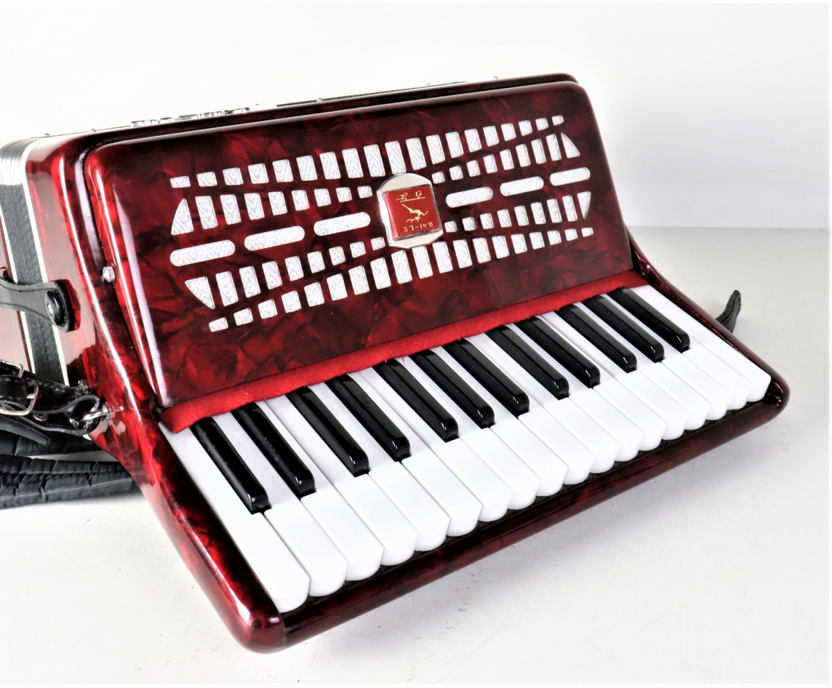 BAILE M2019 バイレ アコーディオン 30鍵盤 24ベース レッドカラー 赤色 ケース付き 鍵盤楽器 音楽 吹奏楽 演奏 音楽 学校 部活 004FTNT38の画像5