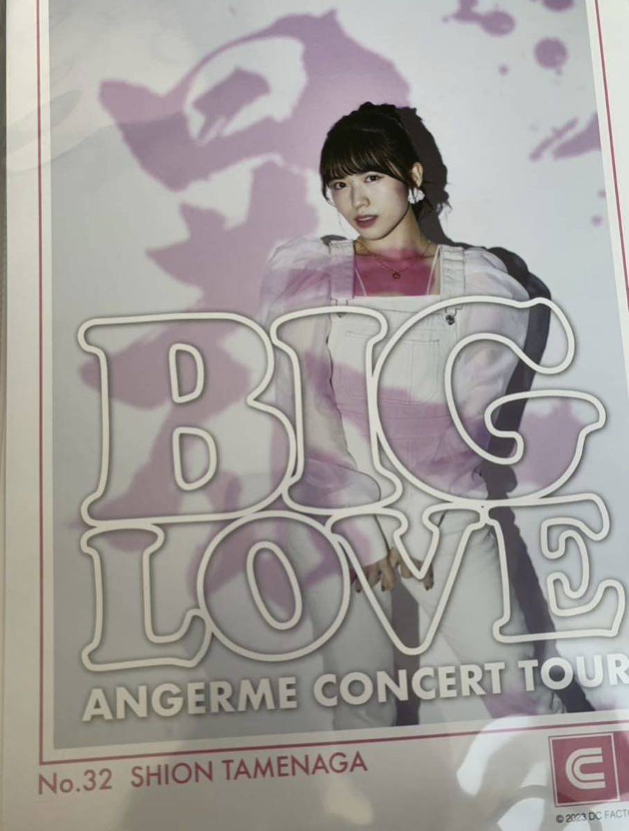 【為永幸音・32】コレクションピンナップポスター ピンポス Hello! Project ANGERME CONCERT TOUR「BIG LOVE」の画像1
