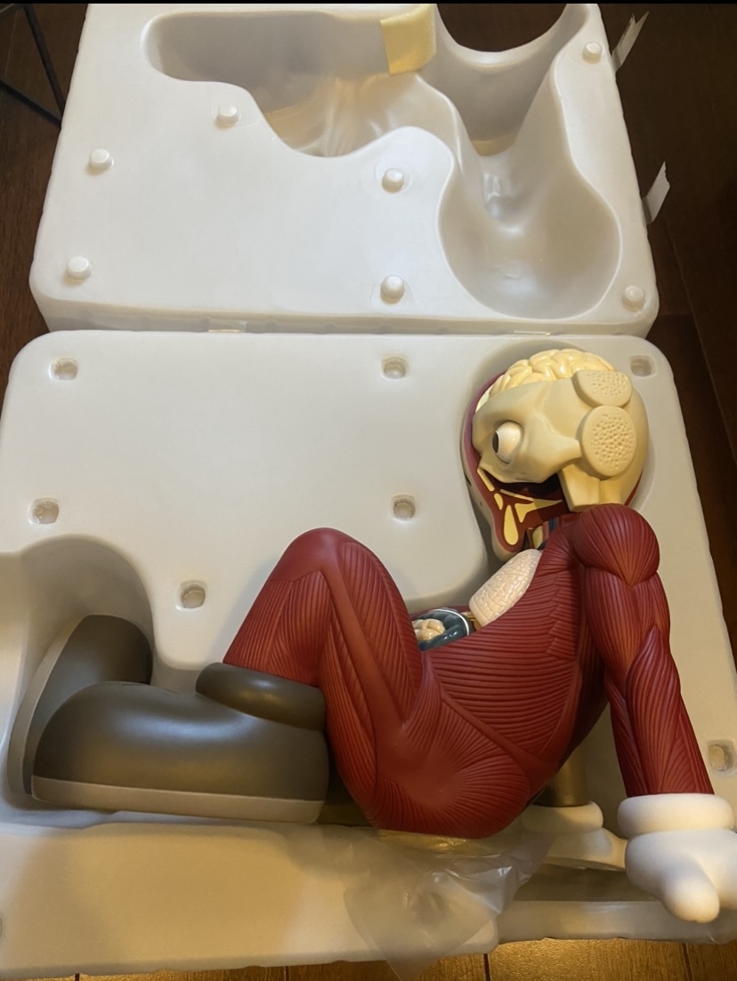 美品 KAWS COMPANION RESTING PLACE MEDICOM TOY ORIGINAL FAKE Brown ブラウン カウズ メディコムトイコンパニオン オリジナルフェイク _画像2