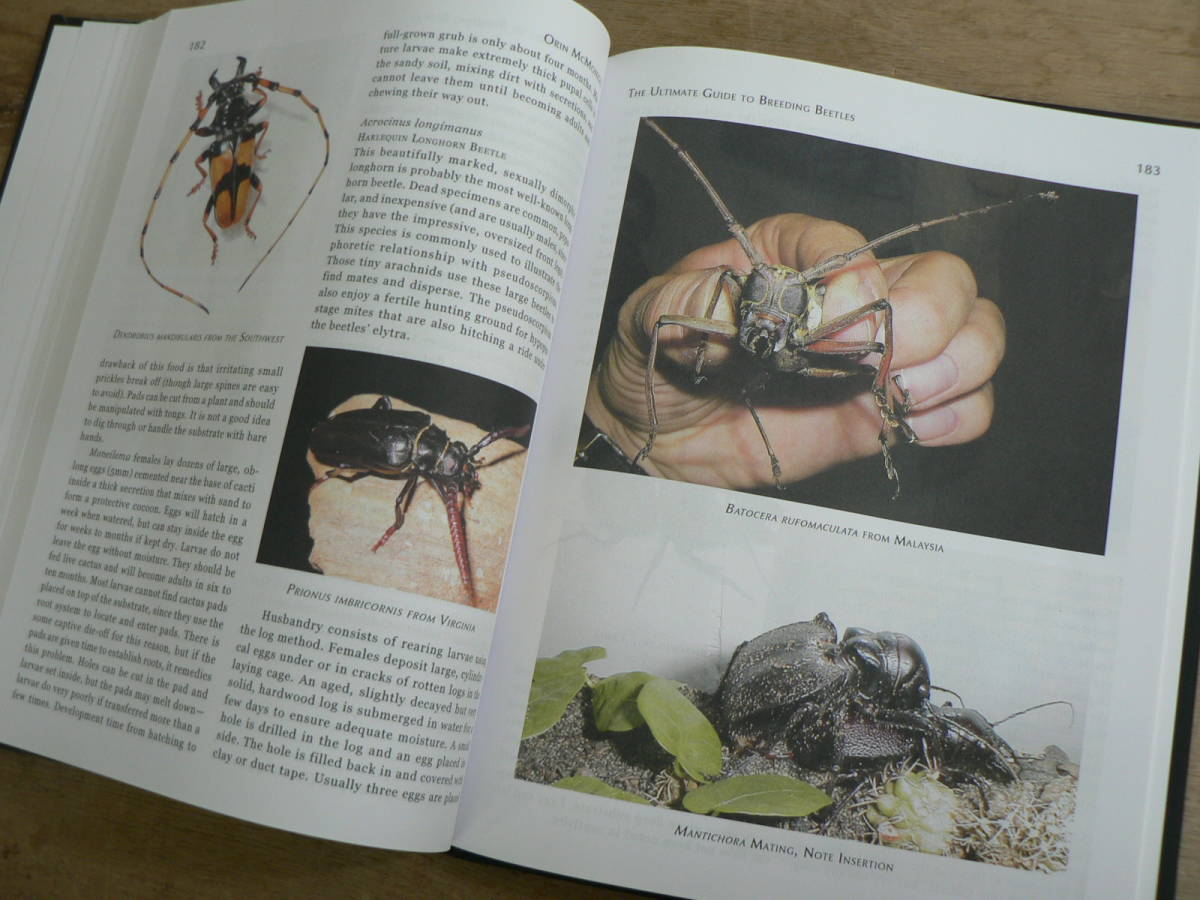 洋書 The Ultimate Guide to Breeding Beetles / Coleoptera Laboratory Culture Methods / 甲虫 飼育 - 生物学 洋書 The Ultimate Guide to Breeding Beetles / Coleoptera Laboratory Culture Methods / 甲虫 飼育 - 生物学