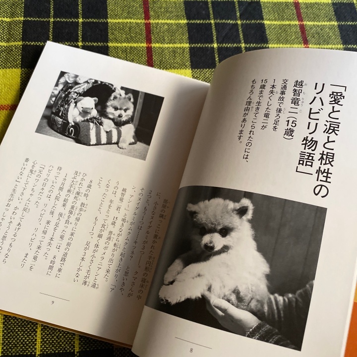 明るい老犬介護 児玉小枝／著_画像8