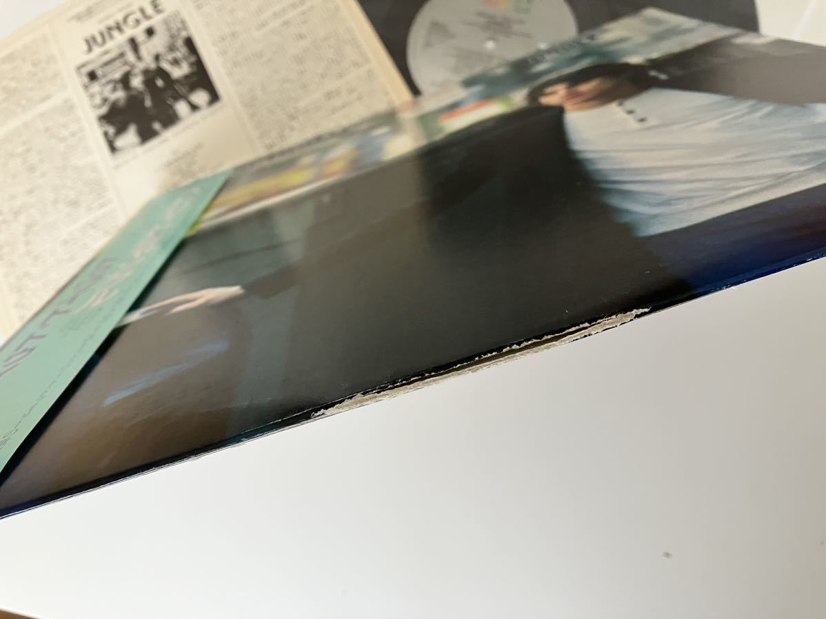 ドゥワイト・トゥイリー Dwight Twilley / ストリート・ジャングル Jungle 帯付LP EMI EYS81648 84年盤,Tom Petty,Buzz Feiten参加,盤美品_画像6