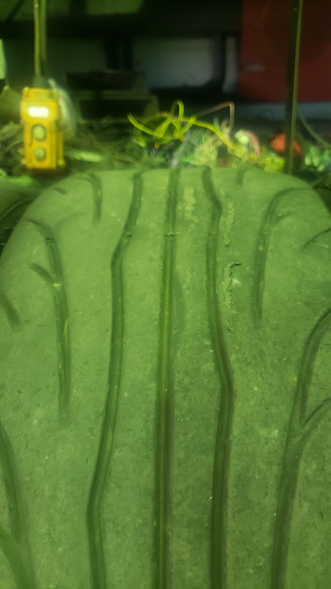 205/45R16 ナンカンNS2R 中古_画像7