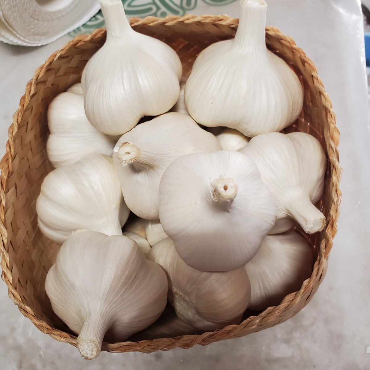 青森県産 Lサイズ 1kg にんにく 福地ホワイト六片種 | energysource