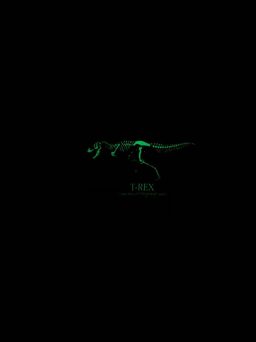 【used】キッズ110 恐竜　半袖Tシャツ KIDS ティラノサウルス　T Rex
