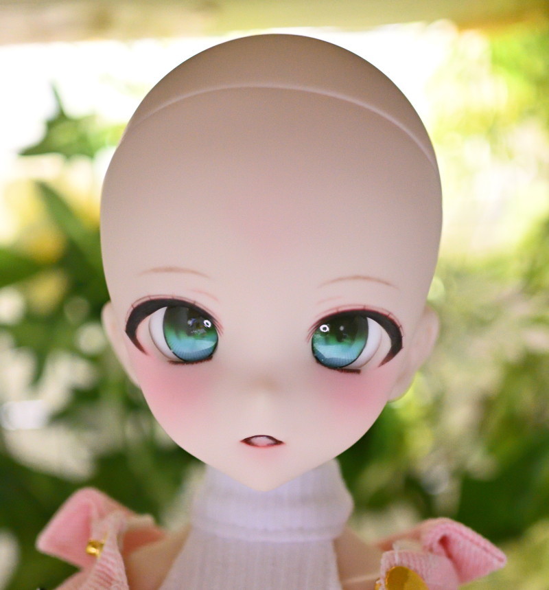 DDH-10 カスタムヘッド(SW肌)＋アイ＋ウィッグ MDD DD【TUSK