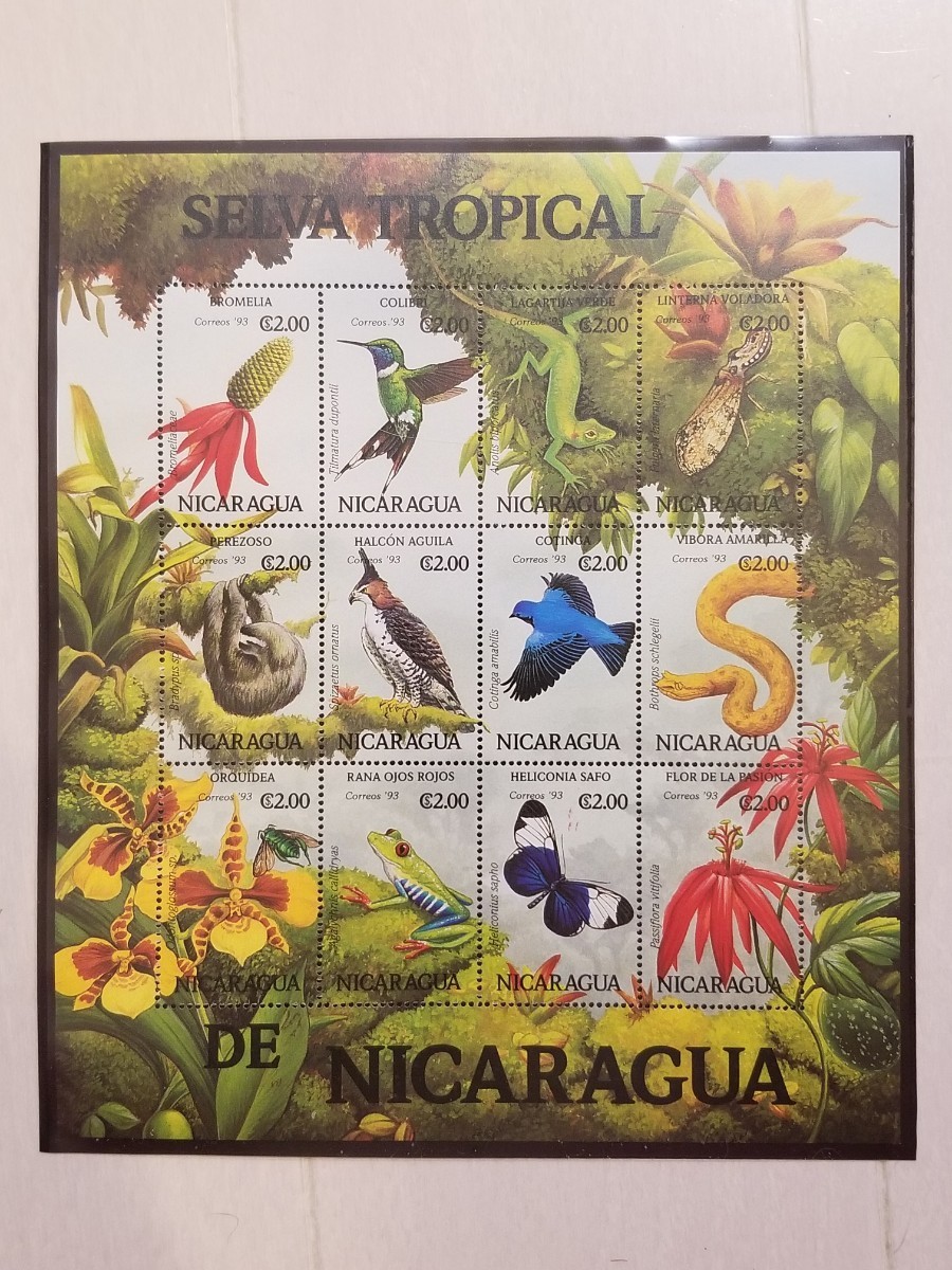 ニカラグア 小型シート １２種 昆虫 蝶 花 植物 動物 未使用の画像3