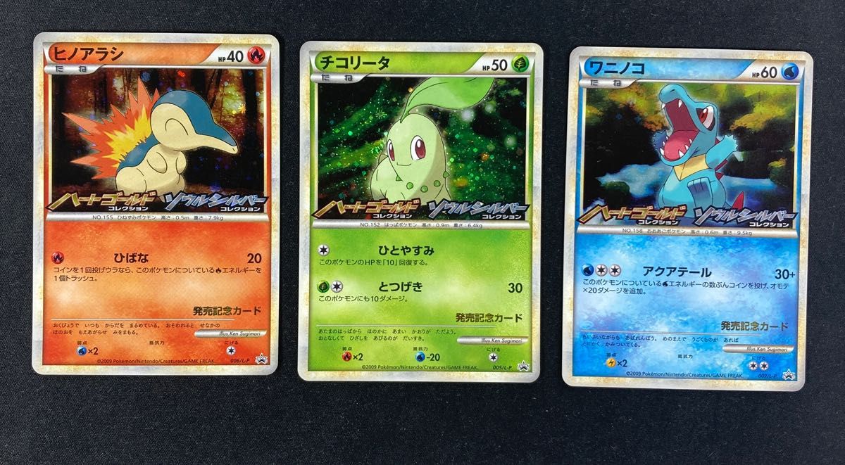 ポケモンカード ハートゴールド ソウルシルバー 発売記念カード ポケモンカード ハートゴールド ソウルシルバー 発売記念カード
