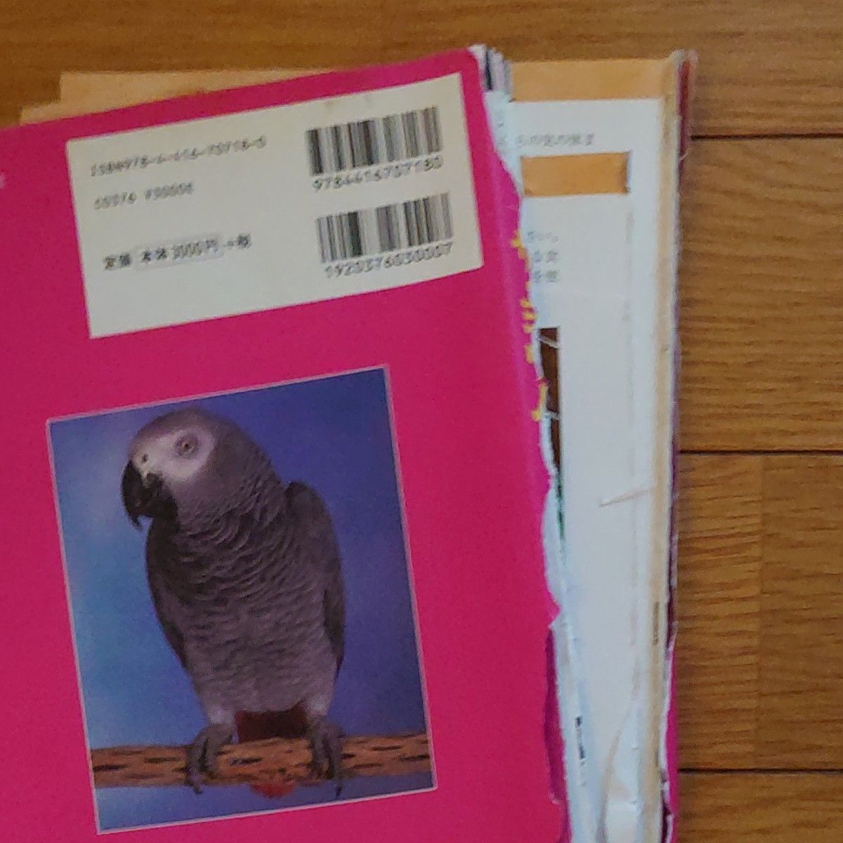 確認用 ザ・ヨウム ヨウムとの楽しい暮らし方 (ペット・ガイド