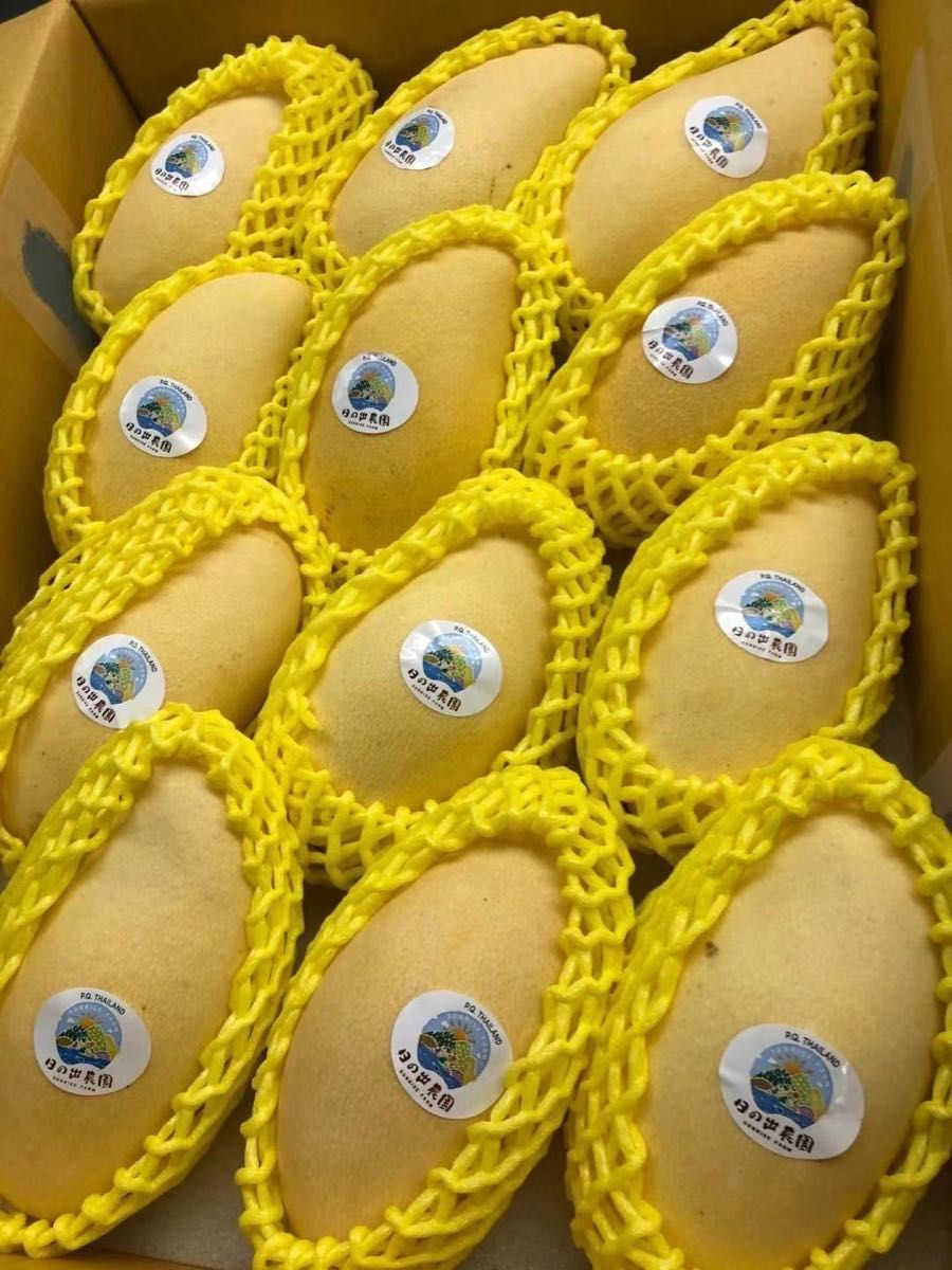 新入荷 常温発送 タイ産マンゴー16-18玉入約4 5kg 泰国芒果 金芒果