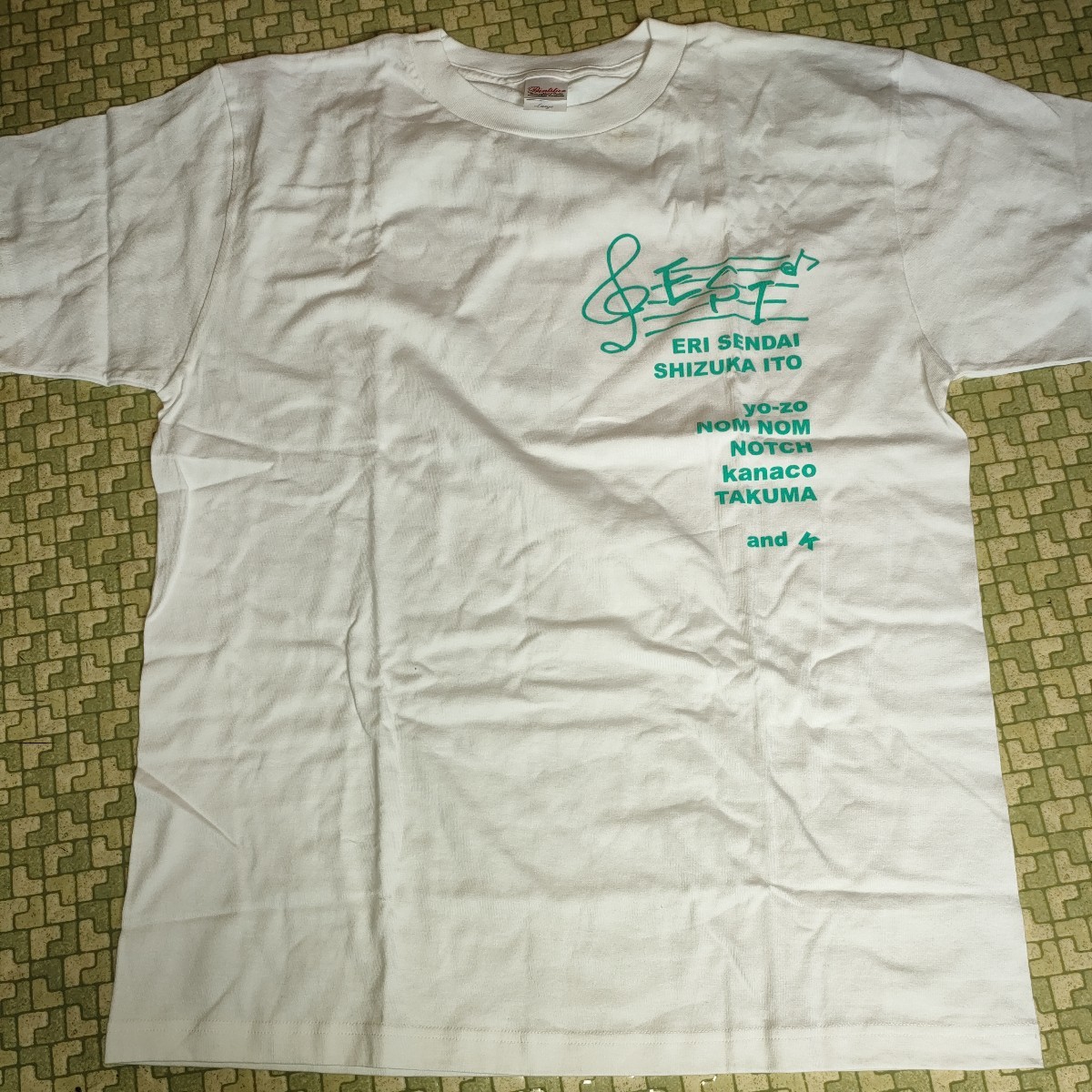 送料無料　仙台エリ　伊藤静 e.s.i.　2008-2009 　Tシャツ Lサイズ 　渋谷　大阪　E.S.I.　Eccentric Strange Irony