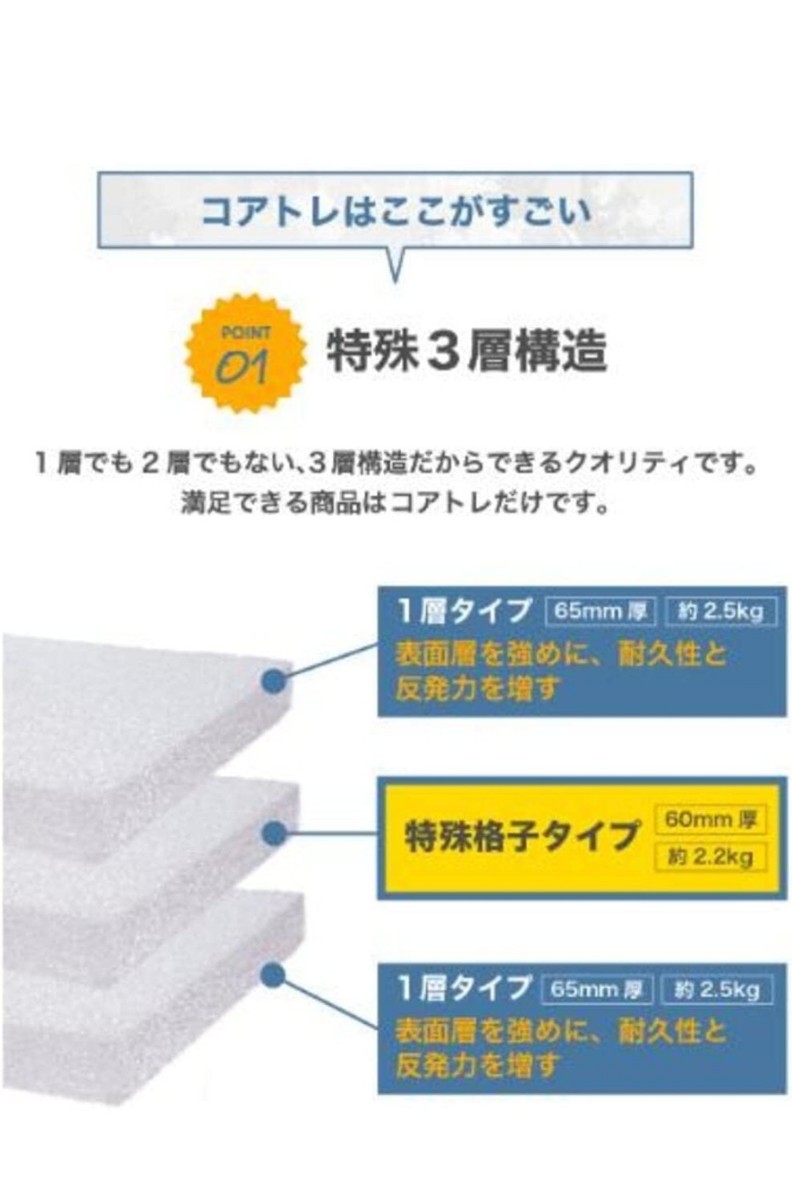 NobleLeaf ノーブルリーフ E-コアトレ トランポリン トレーニング 用