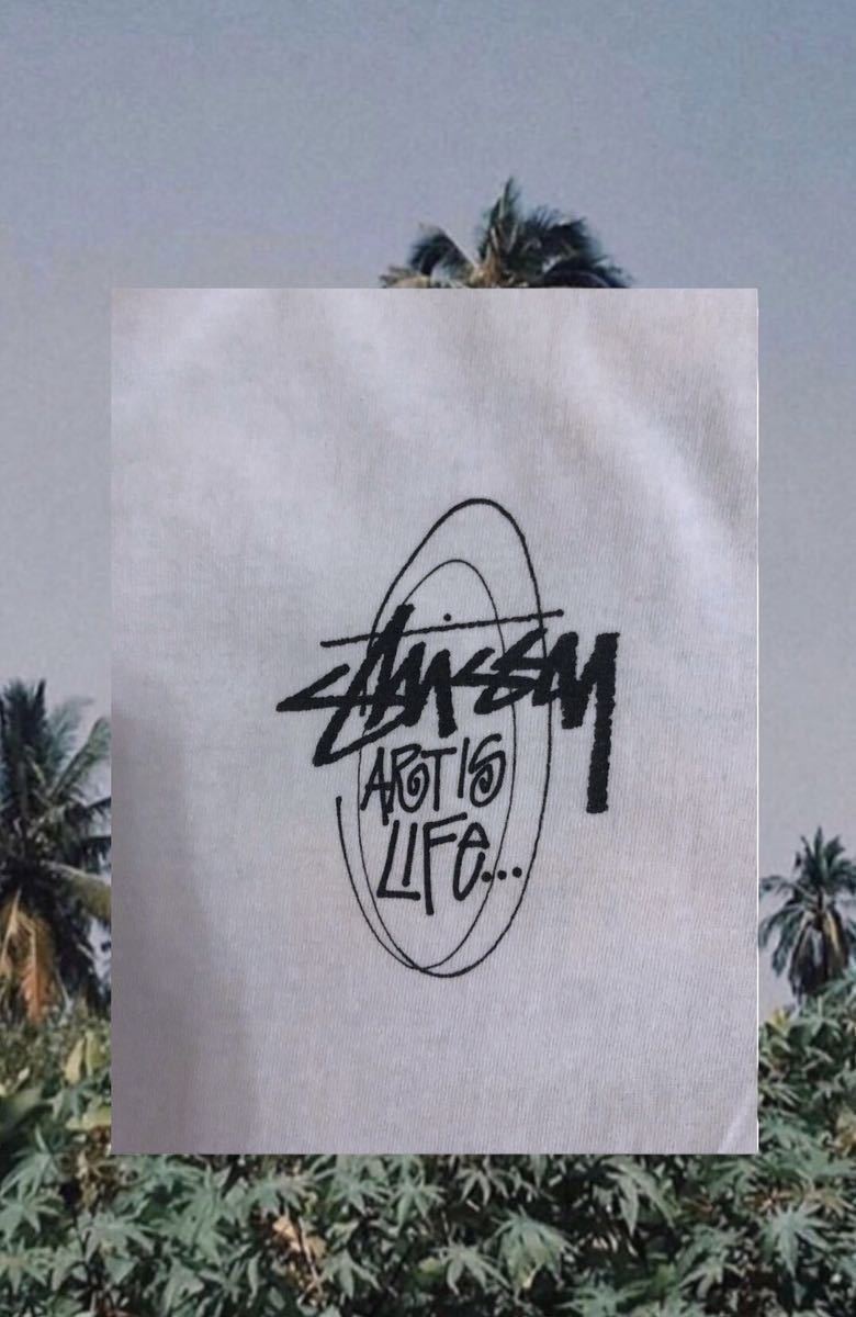 80年代 OLD STUSSY VENUS Tee 80s stussy オールドステューシー ART IS LIFE Vintage STUSSY 当時物 ヴィーナス