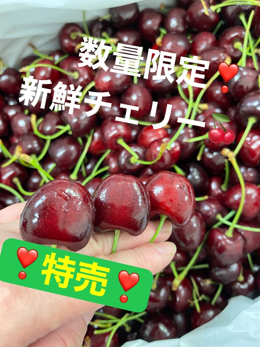 高品質新品 アメリカンチェリー 2kg 9.5R 大粒 zlote-arkady.pl