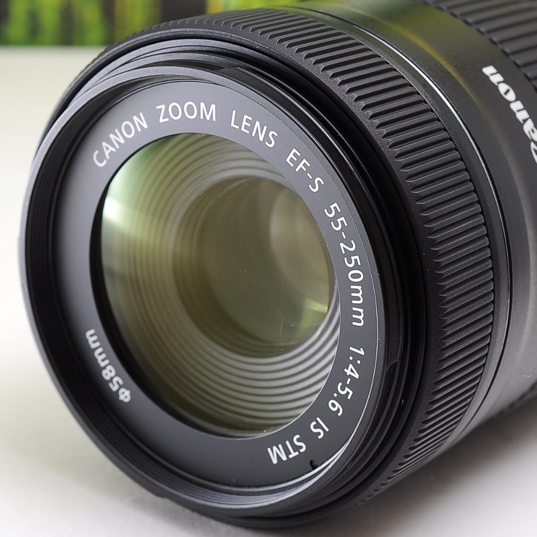 Canon EF-S 55-250㎜ IS STM☆新型望遠レンズ☆3687-1 | aqtradersllc.com