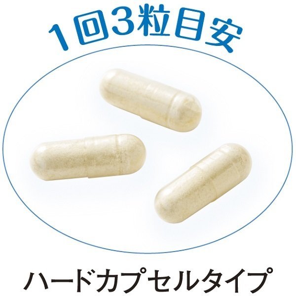 キューサイ シオナガス 290mg×60粒入_画像3