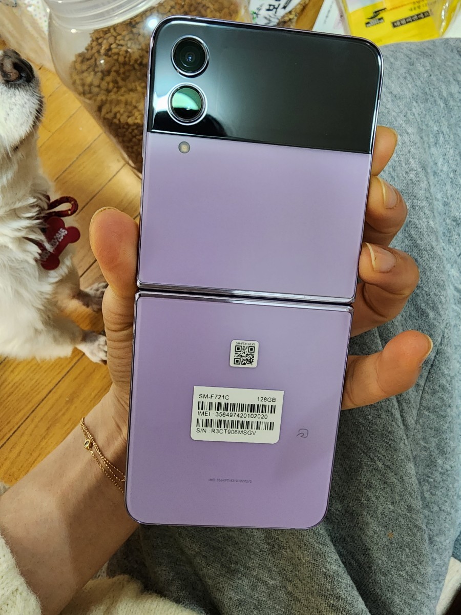 Galaxy Z Flip4 Bora Purple ギャラクシーZフリップ4紫色