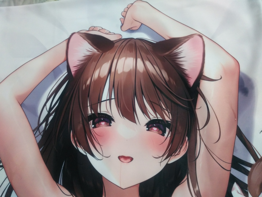 三輪フタバ chocolate cube 佐藤美雪 競泳水着 ねこみみver 抱き枕