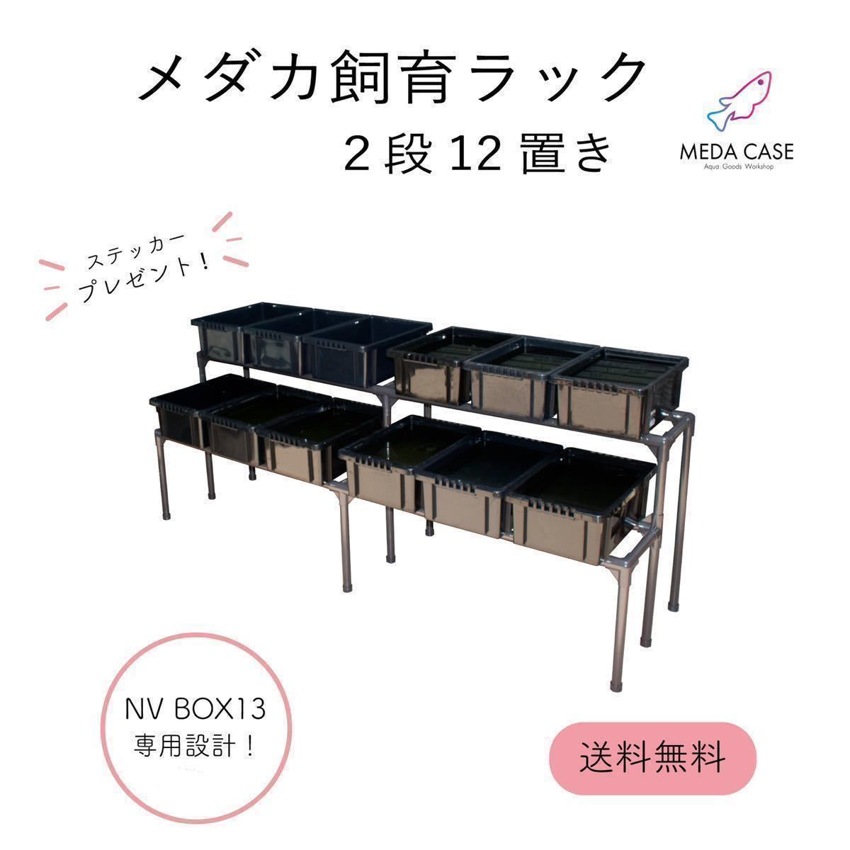 安値1000円オフ☆メダカ飼育ラック 2段12個置 NVBOX 13 メダケース 魚