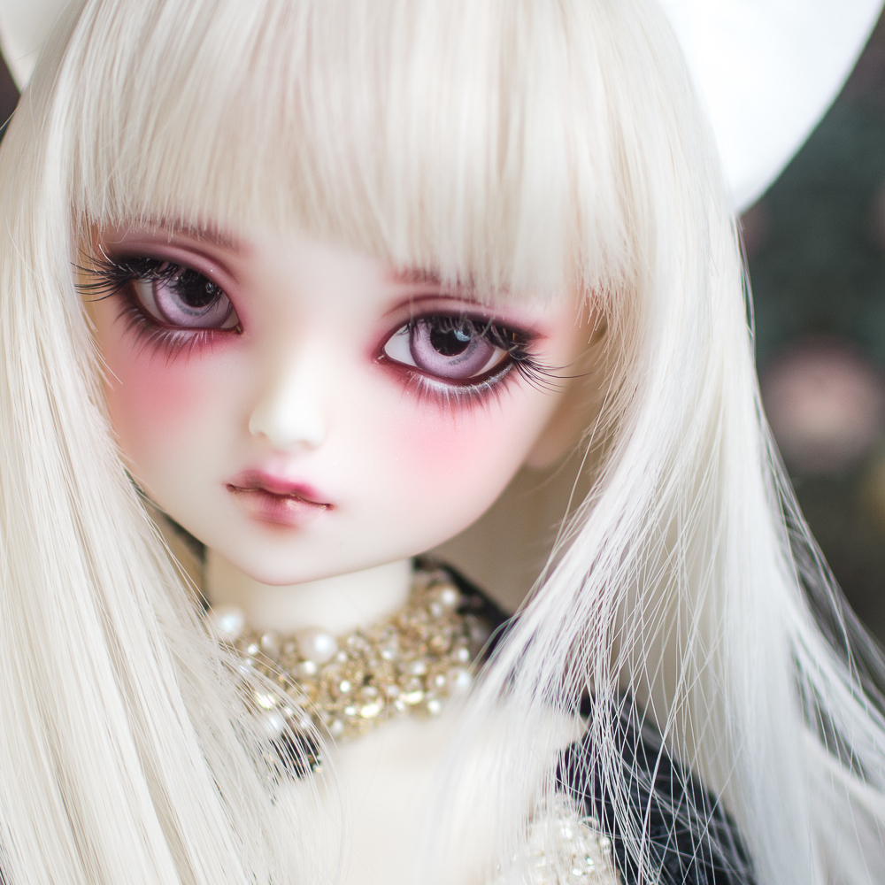 SDMフルチョイス75番(F-75)ホワイトカスタム一式 | www