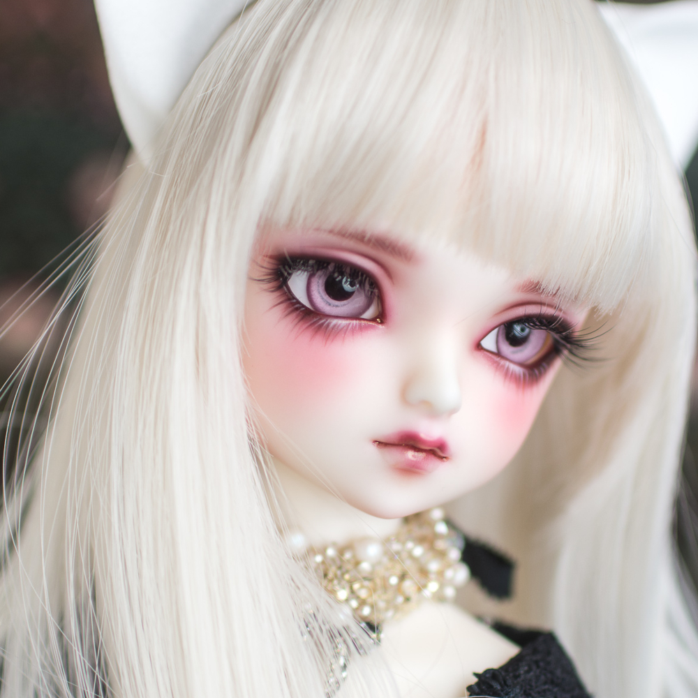 SDMフルチョイス75番(F-75)ホワイトカスタム一式 | rodeosemillas.com
