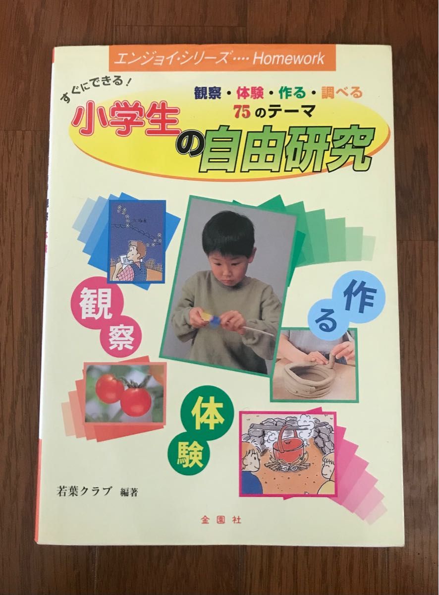 すぐできる！小学生の自由研究　金園社　