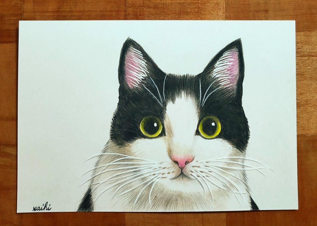 ハチワレ猫色鉛筆画|Yahoo!フリマ(旧PayPayフリマ) ハチワレ猫色鉛筆画|Yahoo!フリマ(旧PayPayフリマ)
