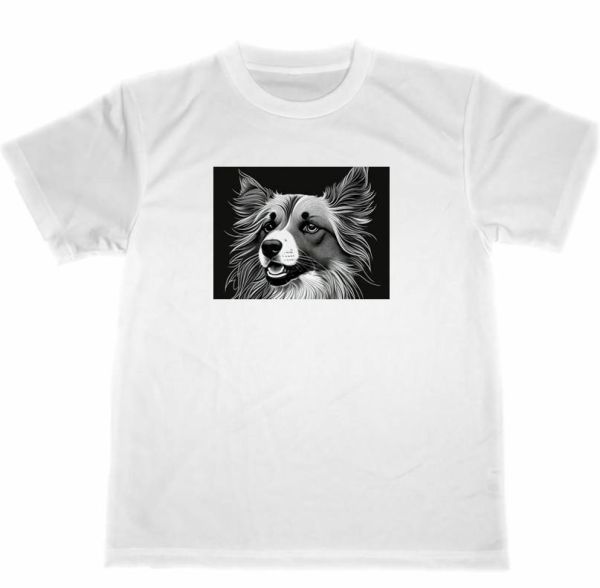 コリー　ドライ　Tシャツ　犬　イラスト　アート　グッズ　ペット　Collie　DOG_画像1