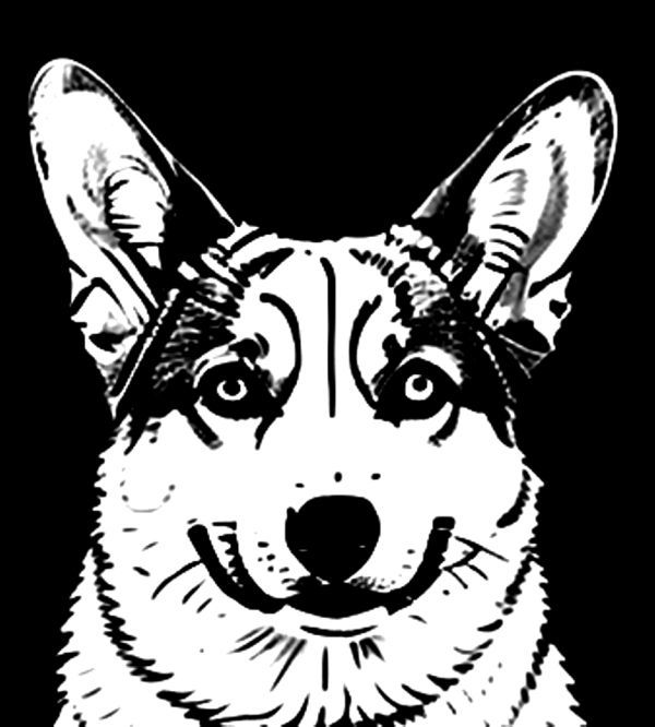 コーギー　ドライ　Tシャツ　犬　ペット　グッズ　ウェルシュ・コーギー　Welsh Corgi　DOG　イラスト　アート_画像2