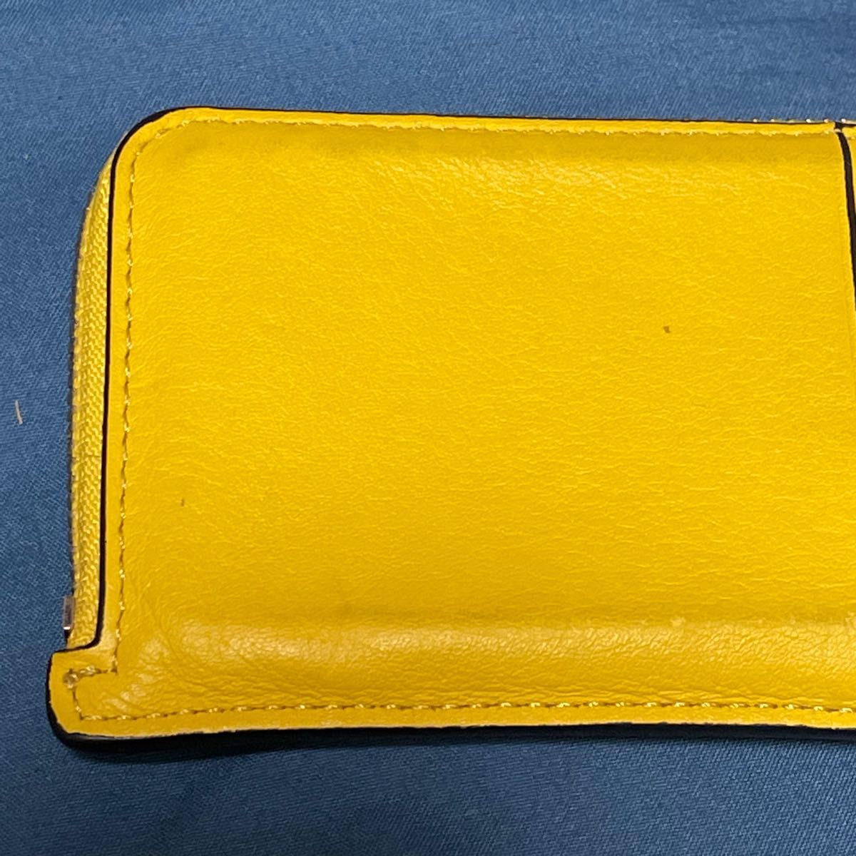 LOEWE ロエベ スタジオジブリ 102045 トトロ コインケース 小銭 LOEWE ロエベ スタジオジブリ 102045 トトロ コインケース 小銭
