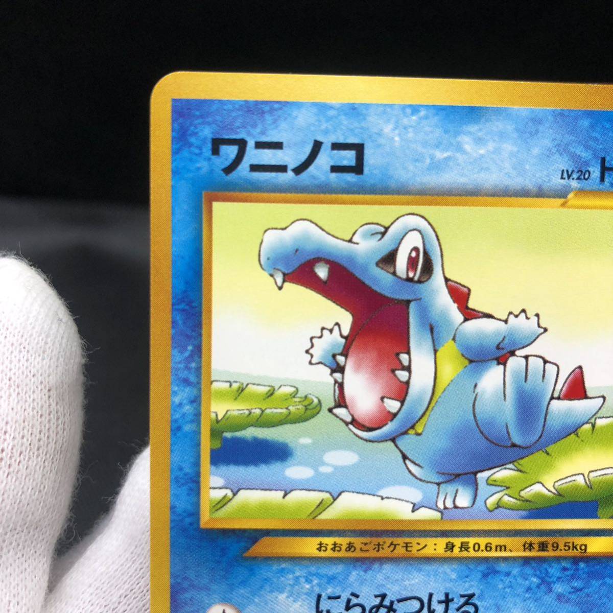 ポケモンカード 旧裏面 旧裏 ワニノコ チャンピオンロード2000 ポケモンカード 旧裏面 旧裏 ワニノコ チャンピオンロード2000