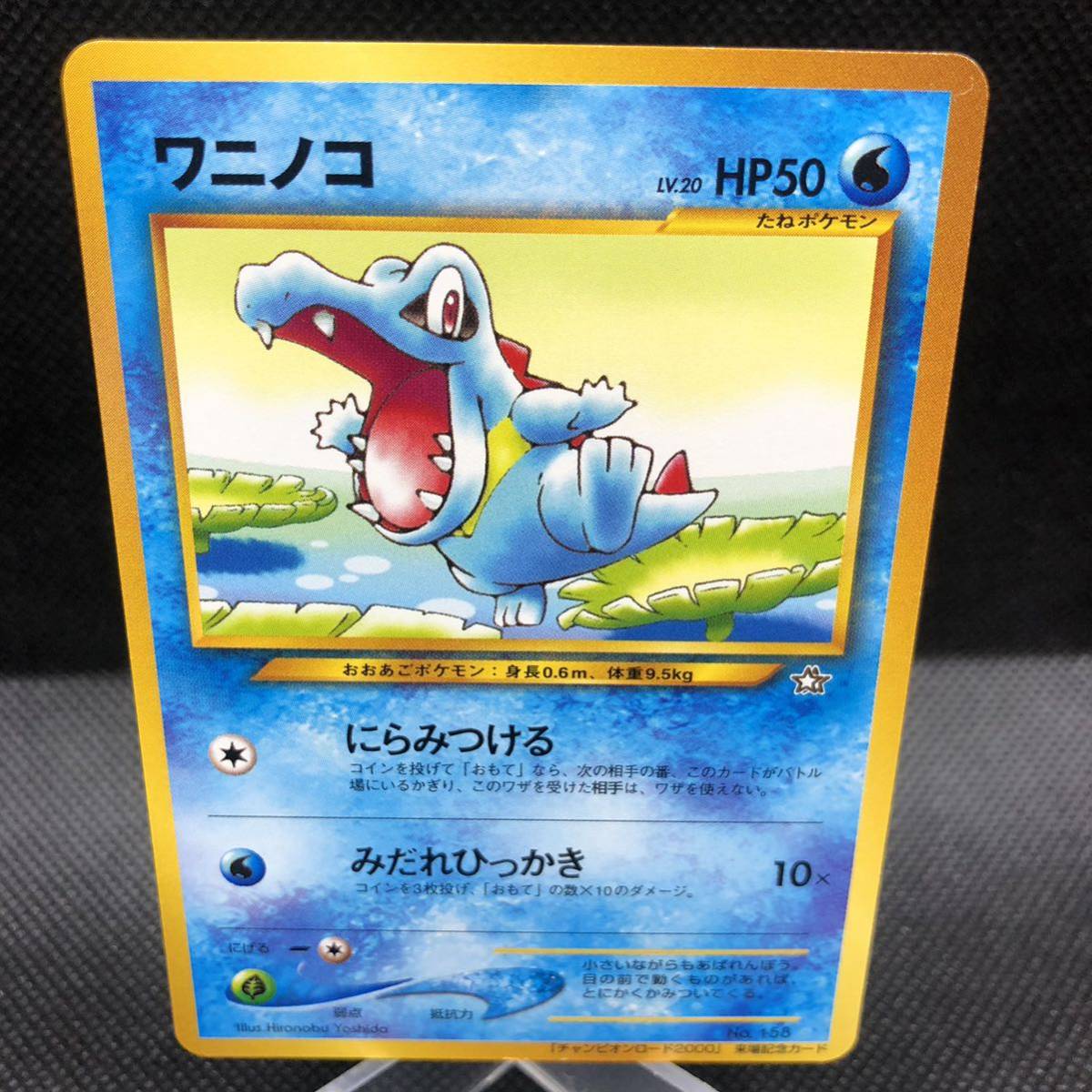 ポケモンカード 旧裏面 旧裏 ワニノコ チャンピオンロード2000 ポケモンカード 旧裏面 旧裏 ワニノコ チャンピオンロード2000