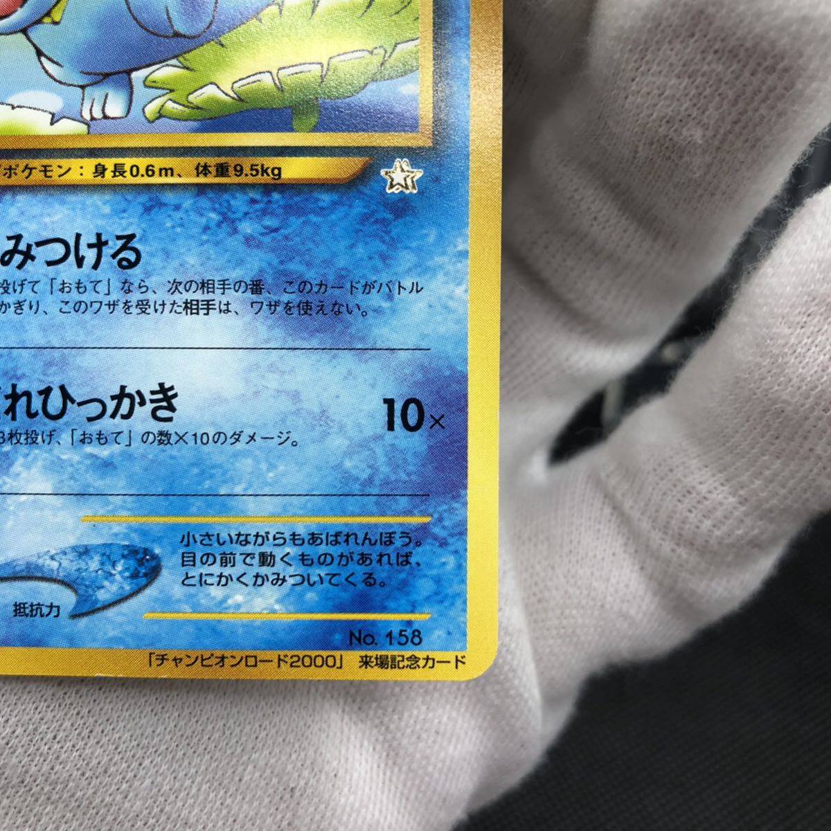 ポケモンカード 旧裏面 旧裏 ワニノコ チャンピオンロード2000 ポケモンカード 旧裏面 旧裏 ワニノコ チャンピオンロード2000