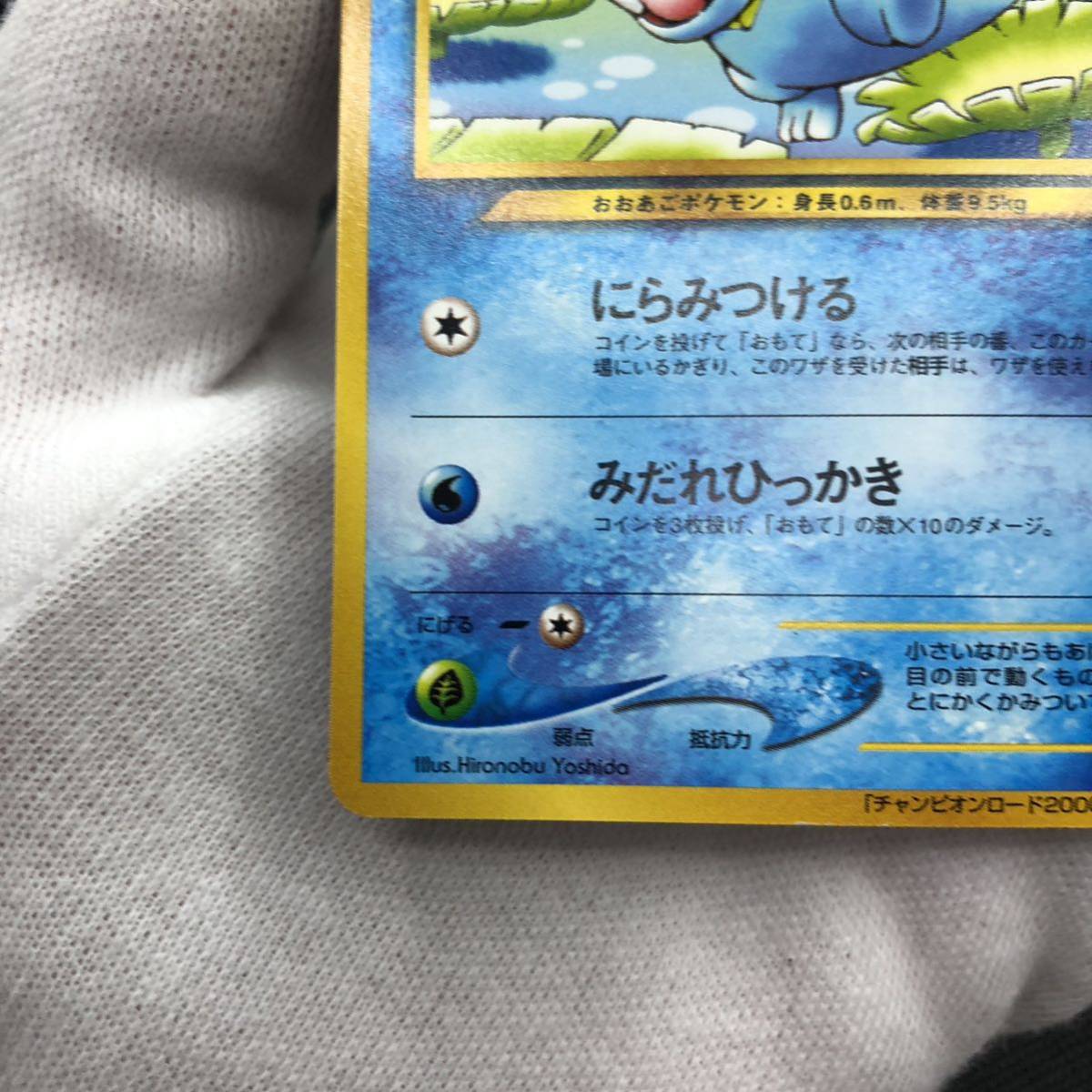 ポケモンカード 旧裏面 旧裏 ワニノコ チャンピオンロード2000 ポケモンカード 旧裏面 旧裏 ワニノコ チャンピオンロード2000
