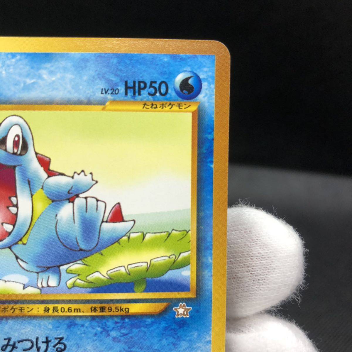 ポケモンカード 旧裏面 旧裏 ワニノコ チャンピオンロード2000 ポケモンカード 旧裏面 旧裏 ワニノコ チャンピオンロード2000