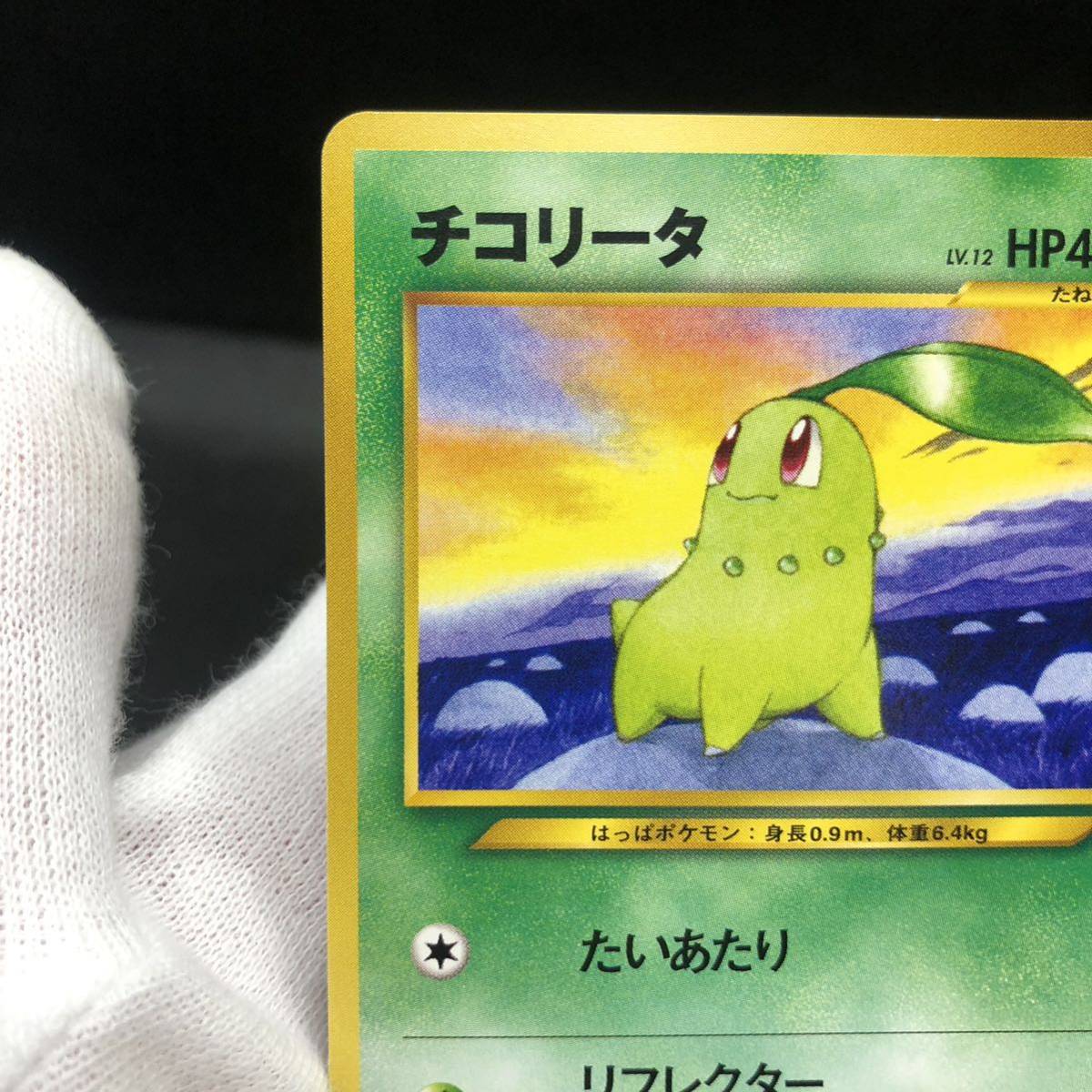 ポケモンカード 旧裏面 旧裏 チコリータ チャンピオンロード2000 ポケモンカード 旧裏面 旧裏 チコリータ チャンピオンロード2000