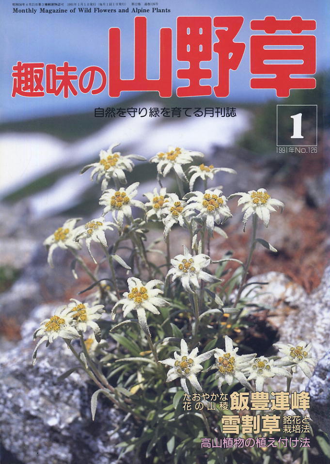 【趣味の山野草】1991.01 ★ たおやかな花の山稜 飯豊連峰　雪割草 銘花と栽培法_画像1