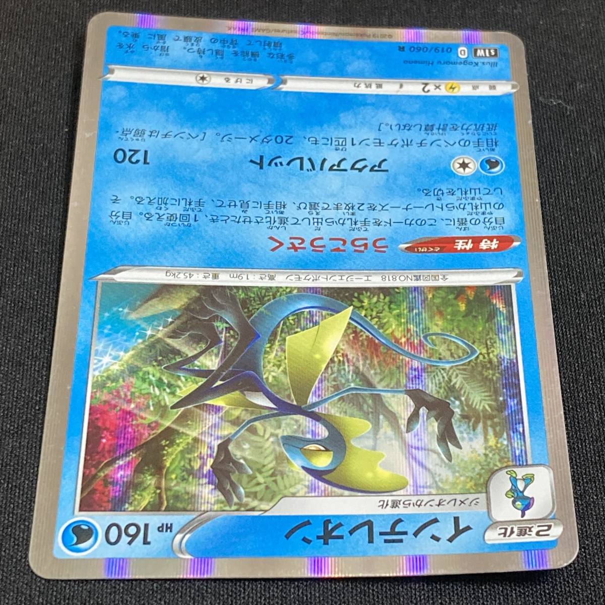 Inteleon 019/060 R S1W Holo Pokemon Card Japanese ポケモン カード インテレオン ホロ ポケカ 230508_画像4