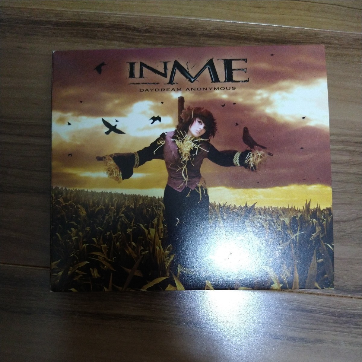 INME / daydream anonymous 国内盤　インミー　UKロック_画像3