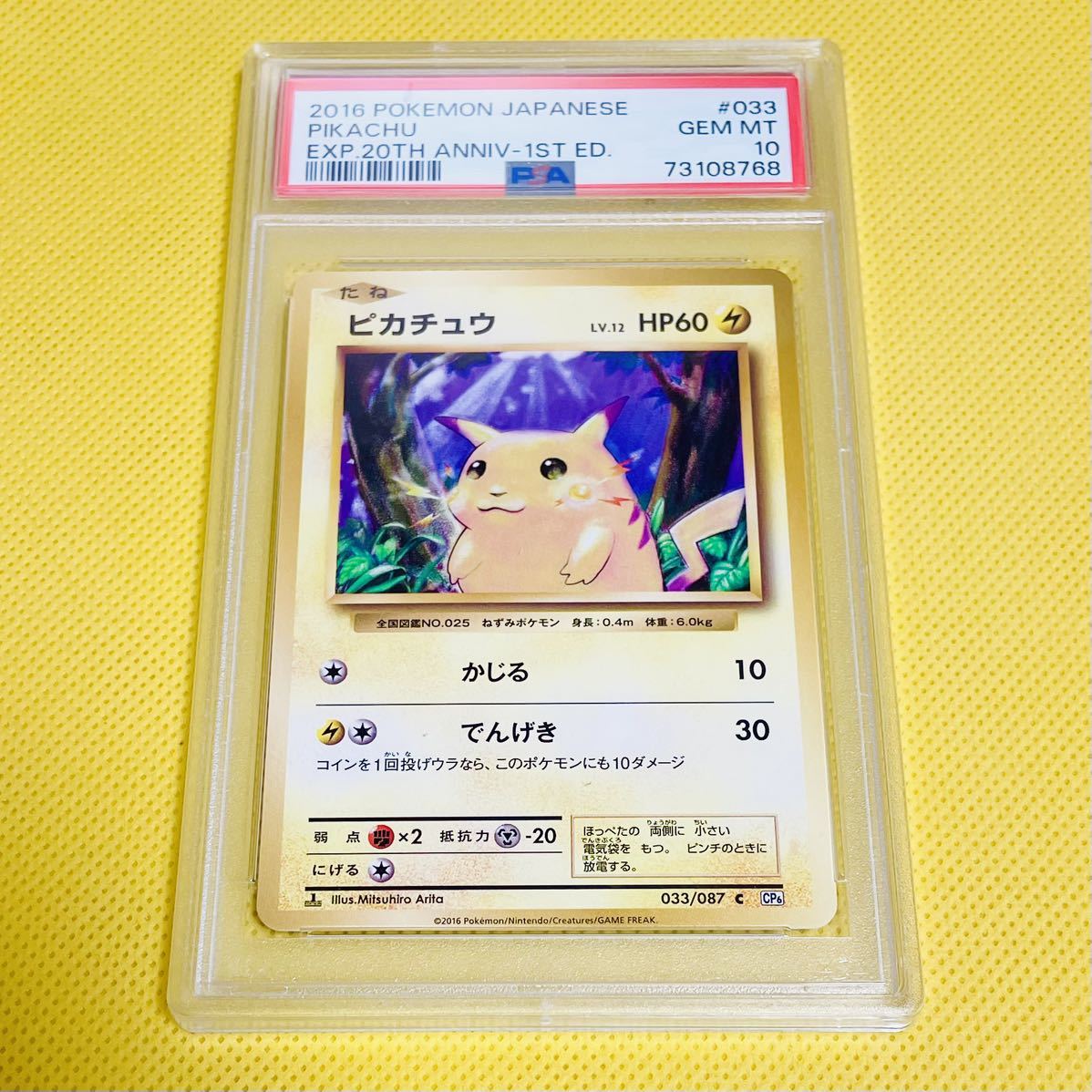 PSA10 GEM MINT【ピカチュウ/C/復刻/CP6/初版】2016 Pikachu 1st PSA10 GEM MINT【ピカチュウ/C/復刻/CP6/初版】2016 Pikachu 1st