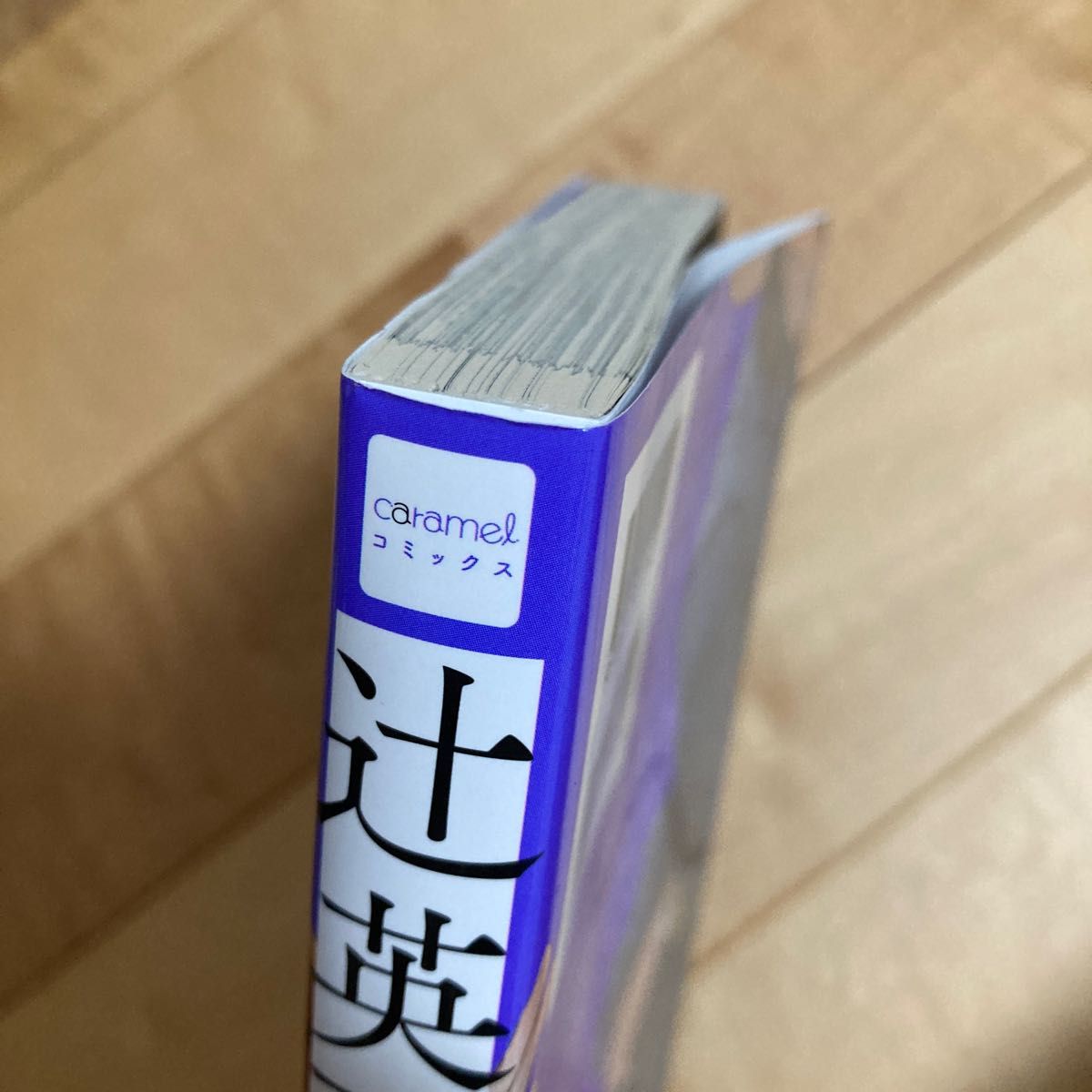 辻英司は恋をしない rasu 三森さんのやらしいおくち スピンオフ blコミック