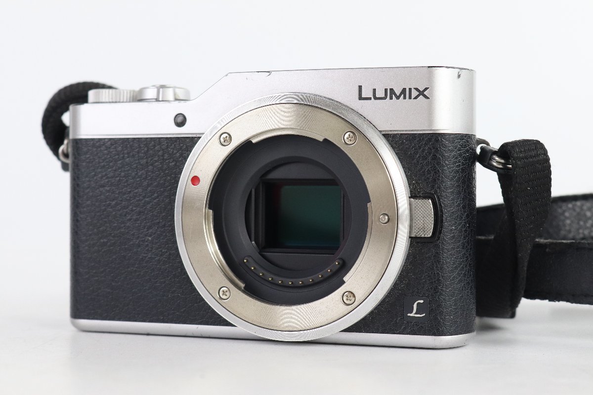 Panasonic パナソニック Lumix G ルミックス DC-GF9W ダブルズーム