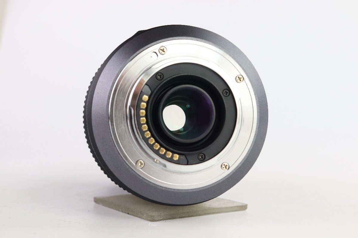 Panasonic パナソニック Lumix ルミックス G Vario 100-300mm 4-5.6 Mega 一眼レフ カメラ  レンズ☆F
