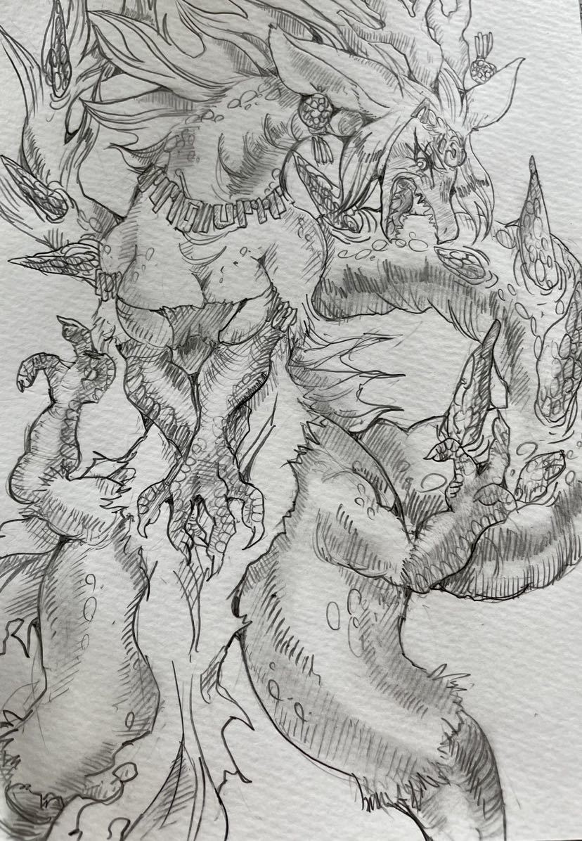  hand-drawn illustrations / Zelda. legend Zelda dragon . female gong ke mono female kemo