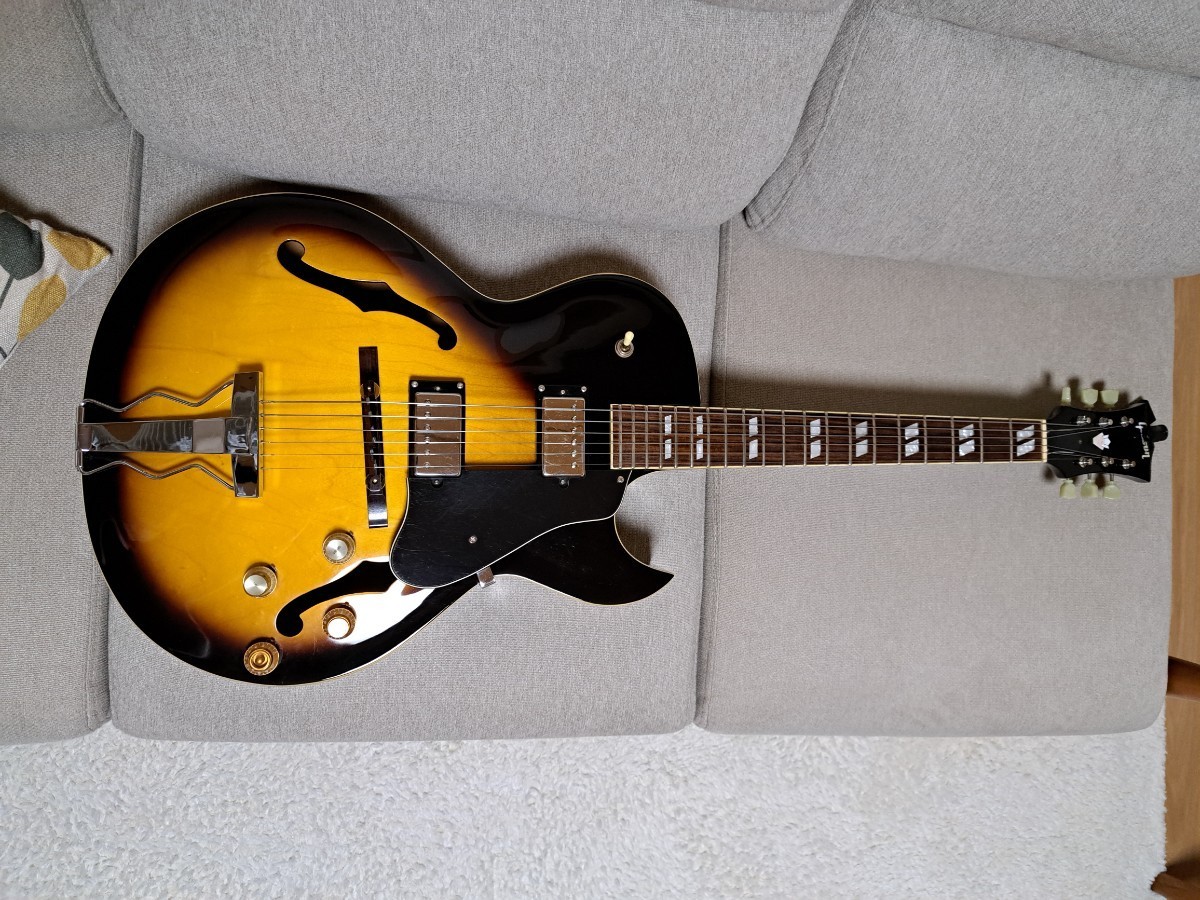 epiphone ES-175 フルアコ ハードケース付き エピフォン | nedas.nl